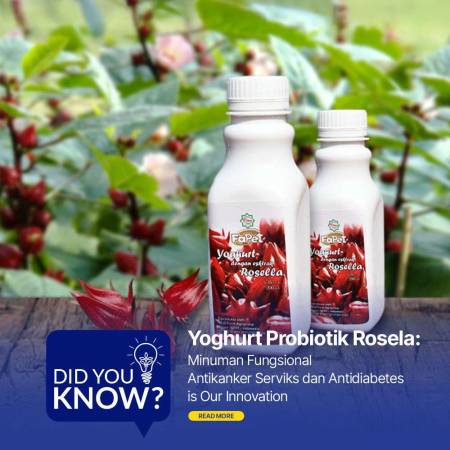 Yogurt Rosela : 