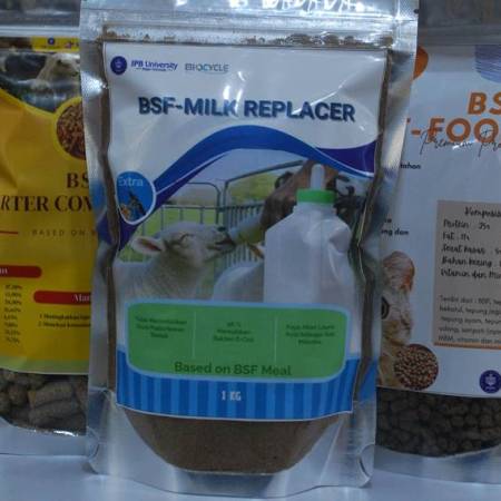 Mengulas Superfood Maggot: Terobosan Fapet IPB untuk Pakan Ruminansia dan Pet Food