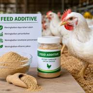 Ragam Feed Additive: Kunci Sukses Menunjang Performa dan Kualitas Produksi Ayam